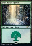 Foresta Innevata