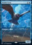 Corvo delle Tempeste