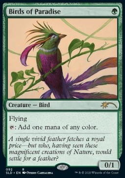 /prodotti/1/sld/secret-lair-drop-series-birds-of-paradise-464509.jpg