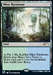 Misty Rainforest