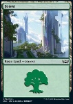 Foresta