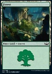 Foresta