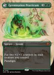 Germination Practicum