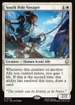 Viaggiatore del Polo Sud