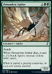 Ragno della Penombra
