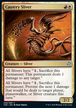 /prodotti/1/tsr/time-spiral-remastered-cautery-sliver-547786.jpg