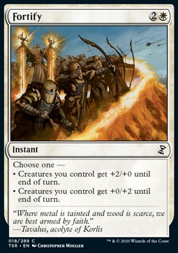 /prodotti/1/tsr/time-spiral-remastered-fortify-542556.jpg