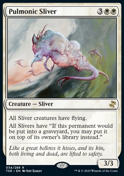 /prodotti/1/tsr/time-spiral-remastered-pulmonic-sliver-542626.jpg
