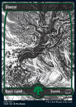 /prodotti/1/vow/innistrad-crimson-vow-forest-v1-581318.jpg