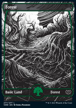 /prodotti/1/vow/innistrad-crimson-vow-forest-v2-581319.jpg
