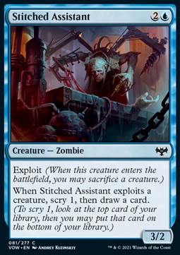 /prodotti/1/vow/innistrad-crimson-vow-stitched-assistant-583545.jpg