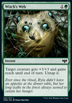 /prodotti/1/vow/innistrad-crimson-vow-witchs-web-583581.jpg