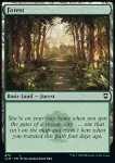 Foresta