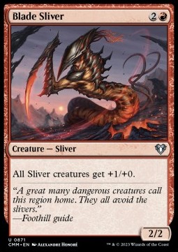 /prodotti/1/xcmm/blade-sliver-722900.jpg