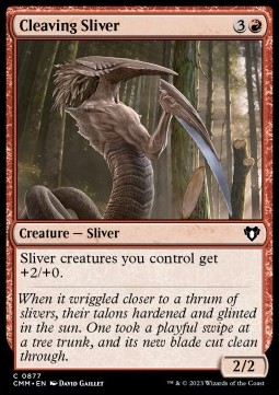 /prodotti/1/xcmm/cleaving-sliver-722902.jpg