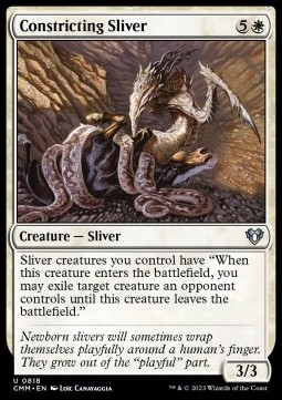 /prodotti/1/xcmm/constricting-sliver-722856.jpg