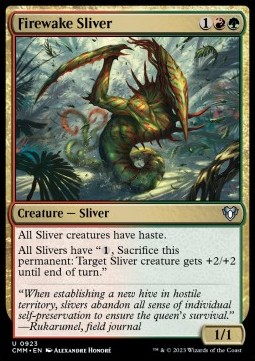 /prodotti/1/xcmm/firewake-sliver-722840.jpg