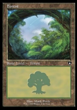 /prodotti/1/xcmm/forest-v3-723250.jpg