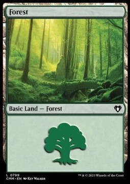/prodotti/1/xcmm/forest-v6-723336.jpg