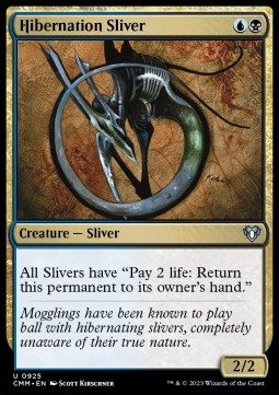 /prodotti/1/xcmm/hibernation-sliver-722917.jpg