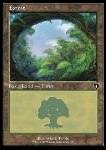 Foresta