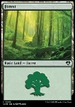Foresta