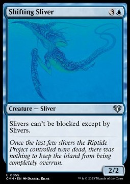 /prodotti/1/xcmm/shifting-sliver-722838.jpg