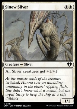/prodotti/1/xcmm/sinew-sliver-722911.jpg