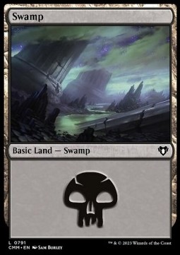 /prodotti/1/xcmm/swamp-v4-723321.jpg