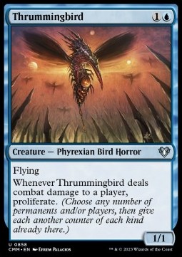 /prodotti/1/xcmm/thrummingbird-722943.jpg