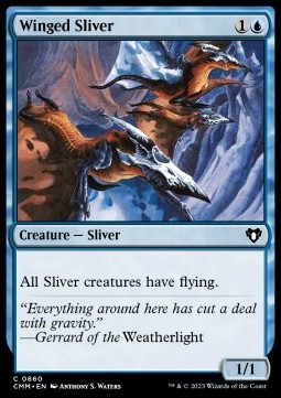/prodotti/1/xcmm/winged-sliver-722833.jpg