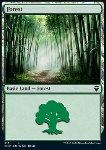 Foresta