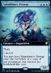 Apprendista di Sakashima