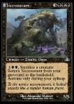 Esperto di Necromanzia