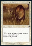 Leoni della Savana
