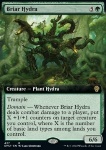 Briar Hydra