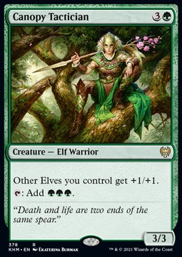 /prodotti/1/xkhm/kaldheim-extras-canopy-tactician-527555.jpg