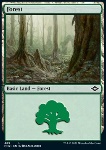 Foresta