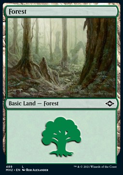/prodotti/1/xmh2/modern-horizons-2-extras-forest-v1-566093.jpg