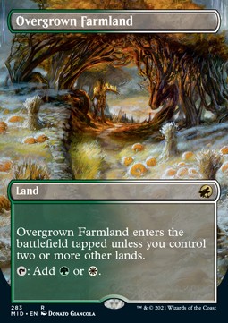 /prodotti/1/xmid/innistrad-midnight-hunt-extras-overgrown-farmland-574708.jpg