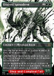 Evolved Spinoderm