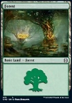 Foresta