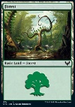 Foresta