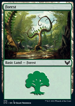 /prodotti/1/xstx/strixhaven-school-of-mages-extras-forest-v1-556868.jpg