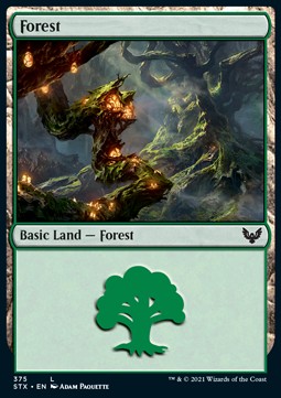 /prodotti/1/xstx/strixhaven-school-of-mages-extras-forest-v2-556873.jpg