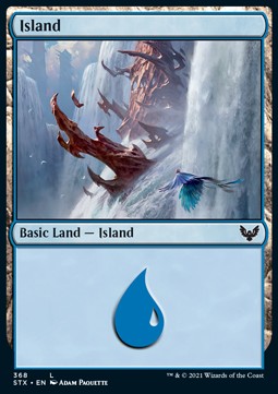/prodotti/1/xstx/strixhaven-school-of-mages-extras-island-v1-556858.jpg