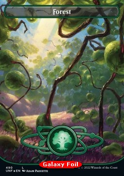 /prodotti/1/xunf/dominaria-united-promo-forest-676241.jpg