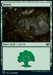 Foresta