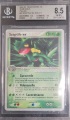 Sceptile ex BGS 8.5