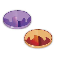 Token - Status Conditions - Scarlet & Violet